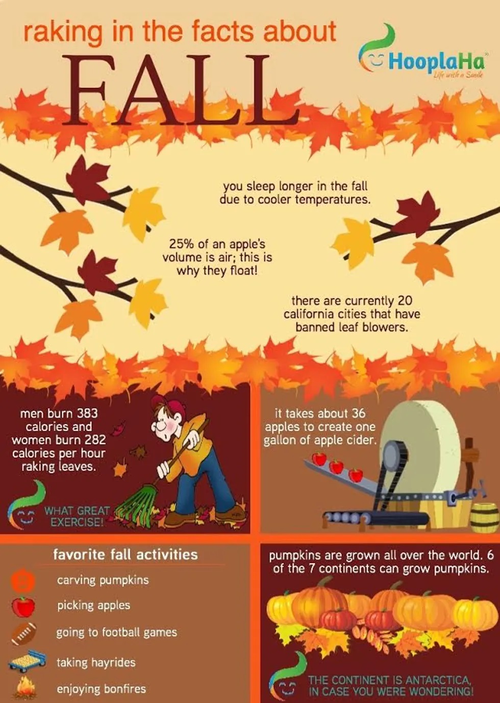 Fall Raking Statistics